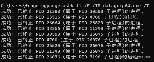 进程的强杀